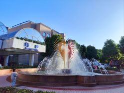 -上海交通大学医学院附属上海儿童医学中心(陆家嘴总院区)