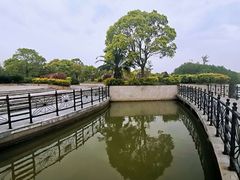 -上海都市菜园
