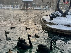 -水磨沟公园