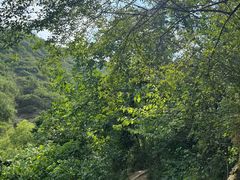 -西安祥峪森林公园