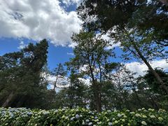 -寂照庵