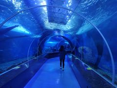 -多彩贵州城极地海洋世界