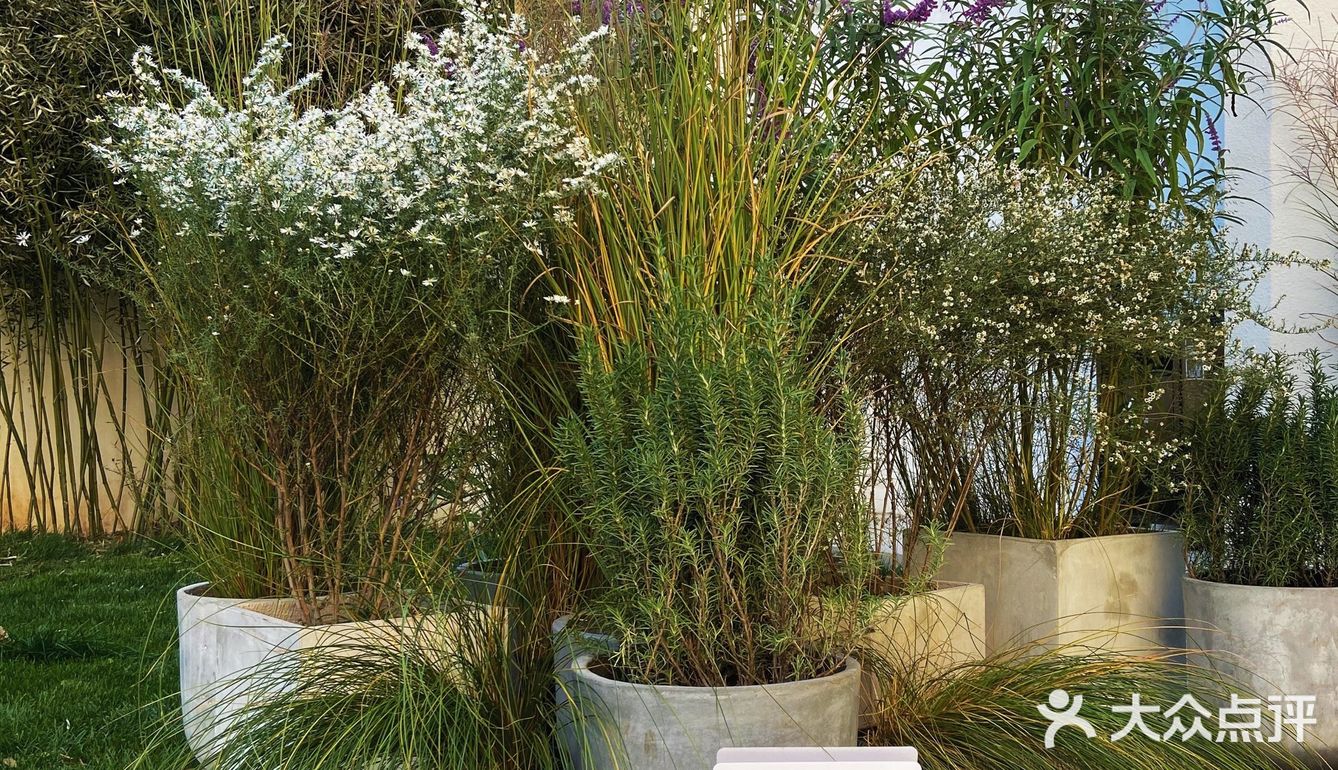 北京新店｜秋日里的未来花园☕️