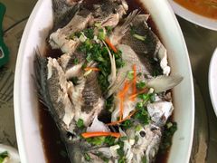 -江南村海鲜馆(洞头店)