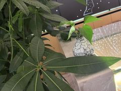 -八马茶业(胜利路旗舰店星海湾茶馆)