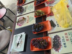 -马陆小张葡萄园农家乐