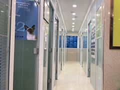 -福懋动物医院·犬猫全科·外科·重症科(杏林分院)