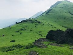-大姆山草场
