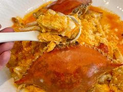 -连鹭海鲜·海肠捞饭·海胆饭(星海店)