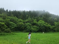 -武陵山森林公园