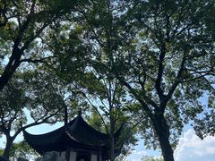-拙政园