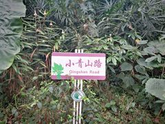 -华南国家植物园-售票处