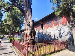 -中岳庙