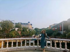 -百万葵园