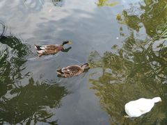 -三里河公园