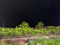 -渔家火锅·海鲜自助餐·演艺(亚龙湾天域酒店)