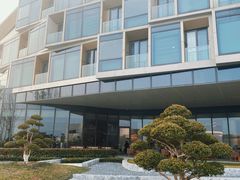 -东方美谷JW万豪酒店·The lounge大堂吧