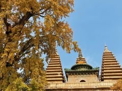 -北京石刻艺术博物馆(五塔寺)