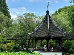 -上海醉白池公园