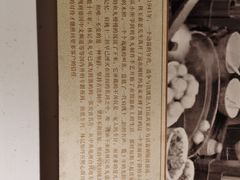 -林记木担鱼丸汤(鼓浪屿店)