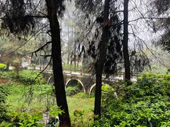 -铁山坪森林公园