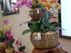 -兰陵国家农业公园