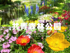 -上海共青森林公园