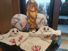 -北京云瑧金陵莲花酒店·莲·川小馆