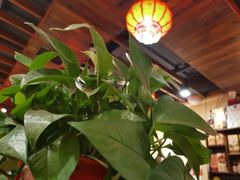 大堂-浩爷羊蝎子火锅(望京店)