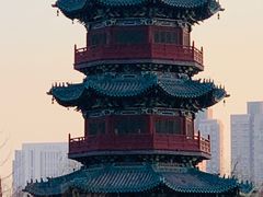 -迎泽公园
