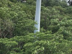 -富斯特索道