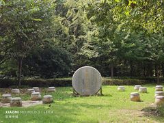 -昆山城市生态森林公园