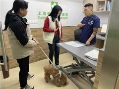 -爱侣宠医·鹦鹉专科·小型哺乳类·异宠专科(灵石路店)