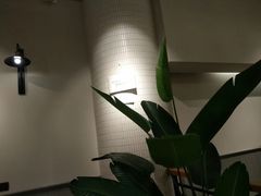 -罗森尼娜(解放西路店)