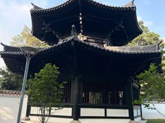 -荔湾湖公园