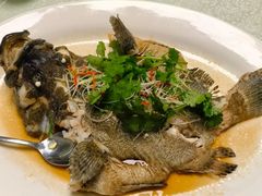 -宜兴隆家宴·私房菜(泰安华庭店)