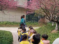 -希溪谷半山街道蒙氏托育(万科公园里校区)