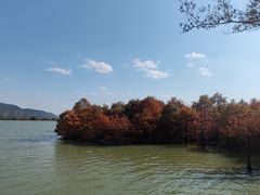 -张鸟园农家乐(张鸟园店)