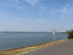 -漕湖湿地公园