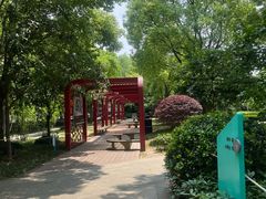 -南翔镇银翔湖公园