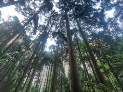 -雁荡山风景名胜区