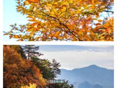 -光雾山旅游景区