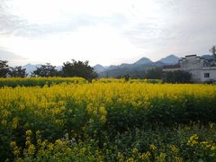 -新安江山水画廊风景区