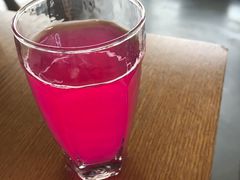 火龙果酵素-菩提树·素食餐厅(汇智国际商业中心店)