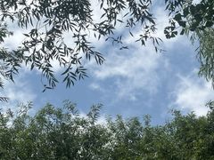 -西安浐灞国家湿地公园