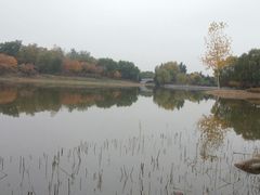 -大兴滨河森林公园