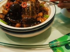 红烧生态甲鱼-西湖春天•老字号杭州菜(百汇店)