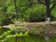 -长白岛森林公园