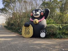 -上海海湾国家森林公园