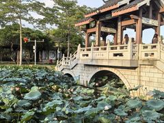 -惠州西湖风景名胜区-丰渚园